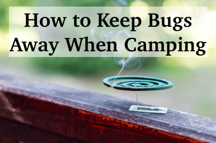 how to keep bugs away when camping