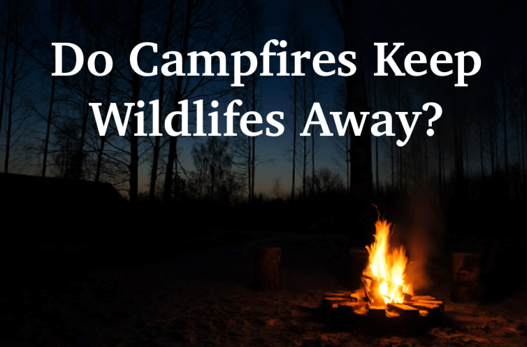 Do Campfires Keep Bears Of Mosquitos Away