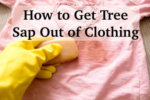 How to Get Sap Out of Clothing (Nylon, Polyester, and Skin Too!) – 5 Ways
