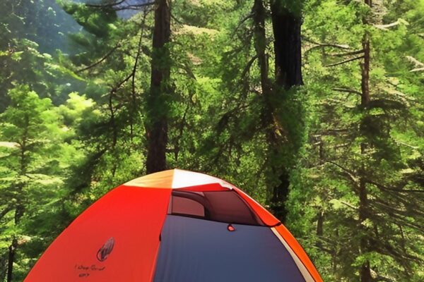 The 10 Best Tents for Hot Weather – Miss These Things and You’ll Get a Stuffy Tent!